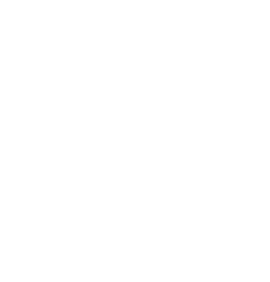 Team Solid